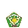 Logo Desa Petiga
