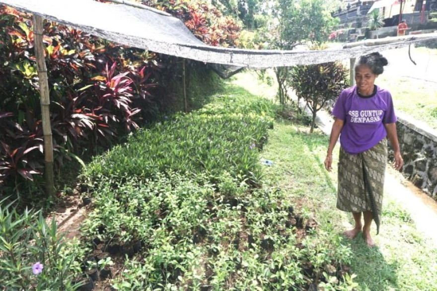 POTENSI TANAMAN HIAS